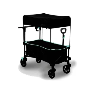 Wagon Wagon
